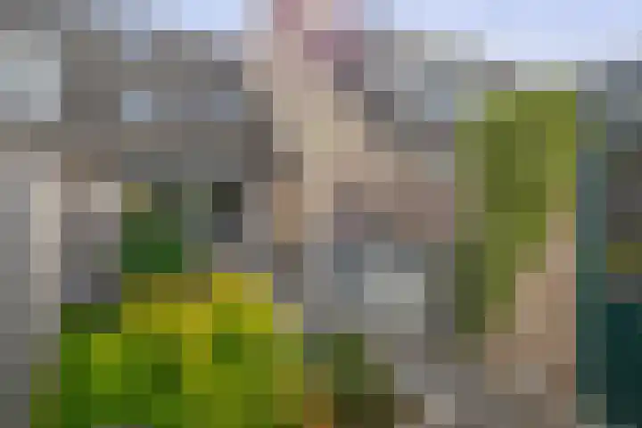 Theodora Haverstraat 8 Spijkenisse thumbnail 23