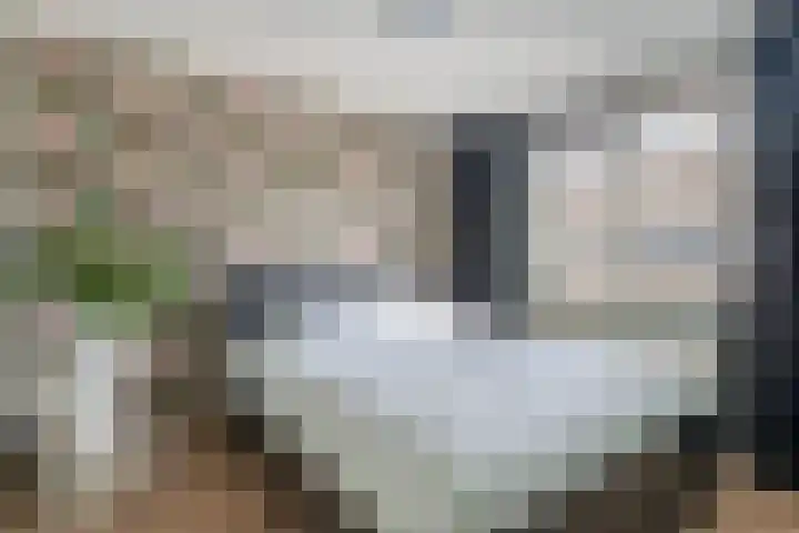 Theodora Haverstraat 8 Spijkenisse thumbnail 29