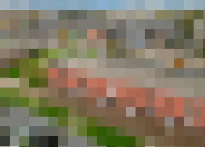 Theodora Havertuin 11 Heerhugowaard thumbnail 27
