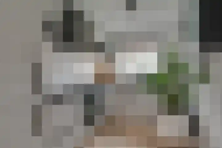 Theodora Havertuin 14 Heerhugowaard thumbnail 13