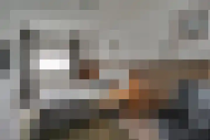 Theodora Havertuin 14 Heerhugowaard thumbnail 18