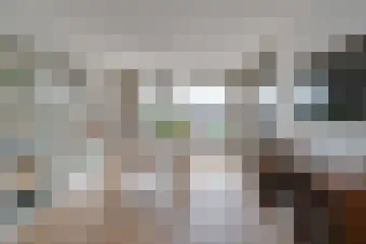 Theodora Havertuin 14 Heerhugowaard thumbnail 31
