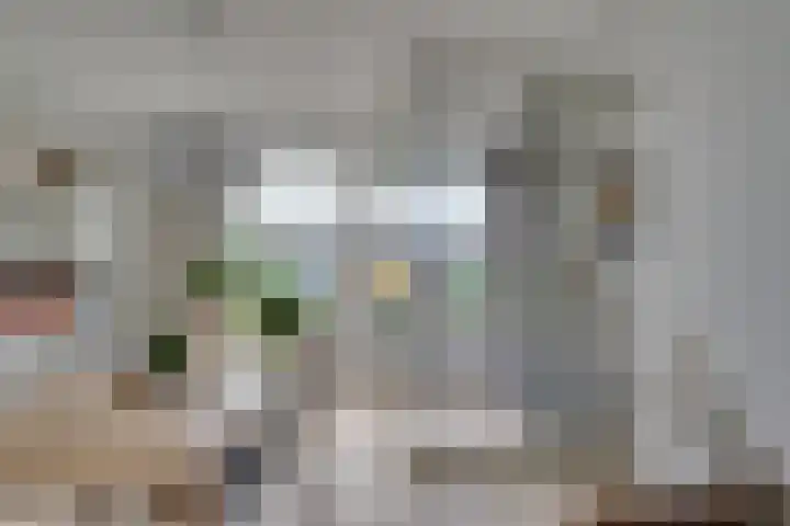Theodora Havertuin 14 Heerhugowaard thumbnail 32