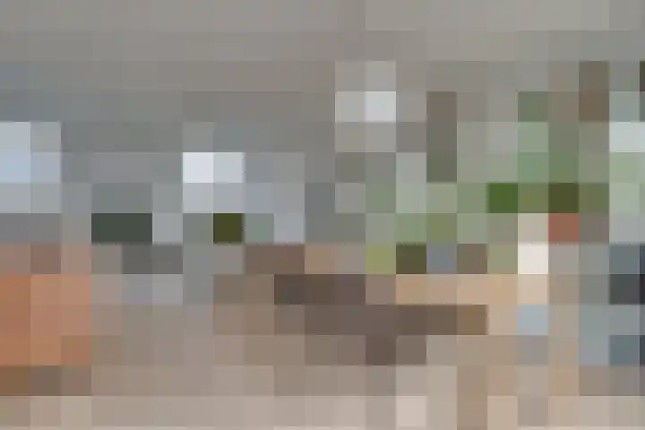 Theodora Havertuin 14 Heerhugowaard thumbnail 33