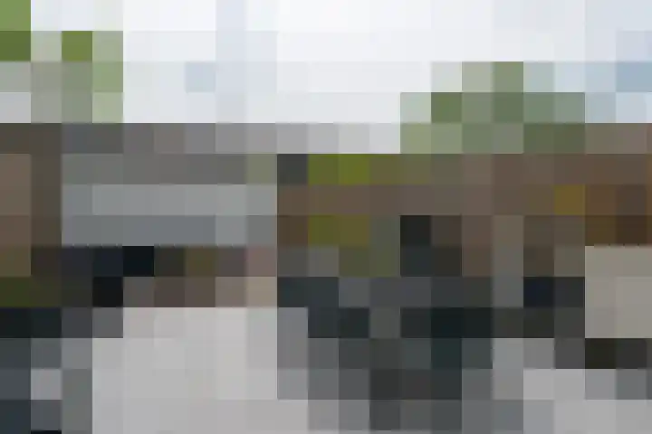 Theodora Havertuin 14 Heerhugowaard thumbnail 37