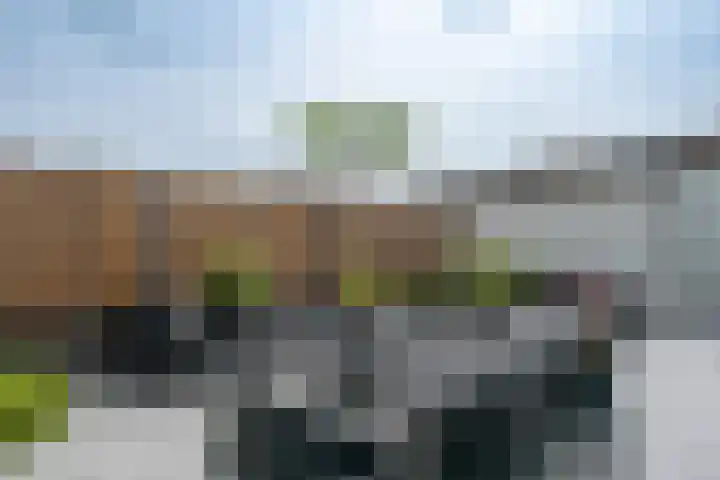 Theodora Havertuin 14 Heerhugowaard thumbnail 38