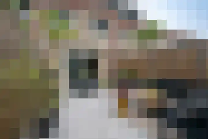 Theodora Havertuin 14 Heerhugowaard thumbnail 41