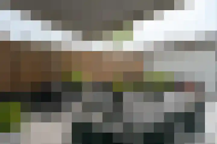 Theodora Havertuin 14 Heerhugowaard thumbnail 42