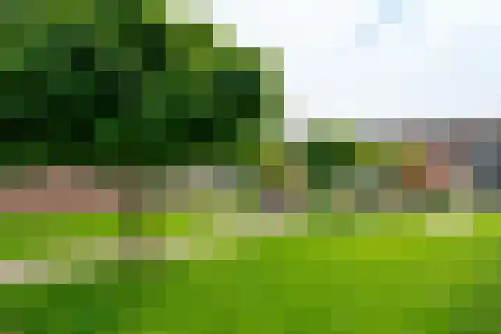 Theodora Havertuin 14 Heerhugowaard thumbnail 46