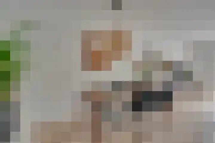 Theodora Havertuin 14 Heerhugowaard thumbnail 6