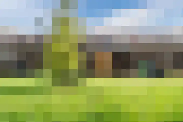 Theodora Havertuin 19 Heerhugowaard thumbnail 26