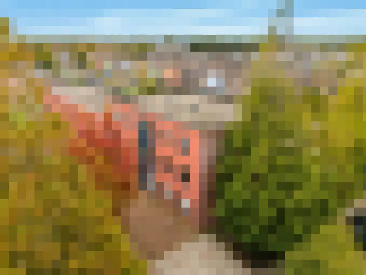 Theodora Havertuin 3 Heerhugowaard thumbnail 5