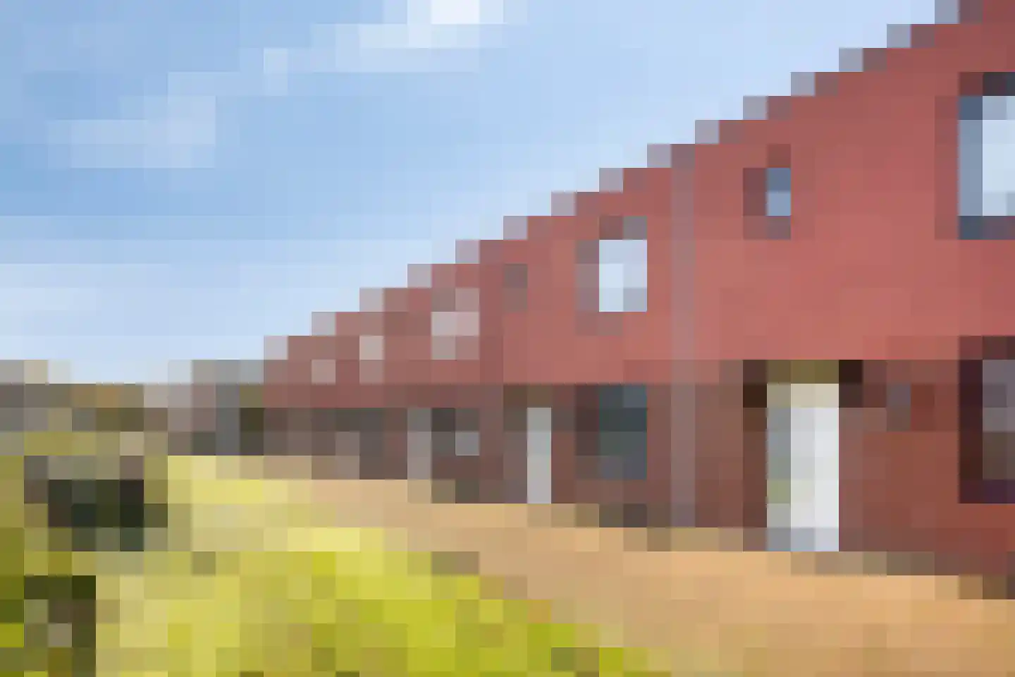 Theodora Havertuin 8 Heerhugowaard thumbnail 25