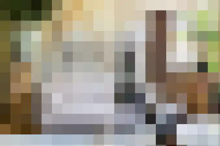 Theodora Jacobalaan 12 Rotterdam thumbnail 10