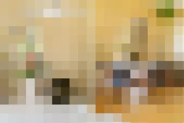 Theodora Jacobalaan 12 Rotterdam thumbnail 11