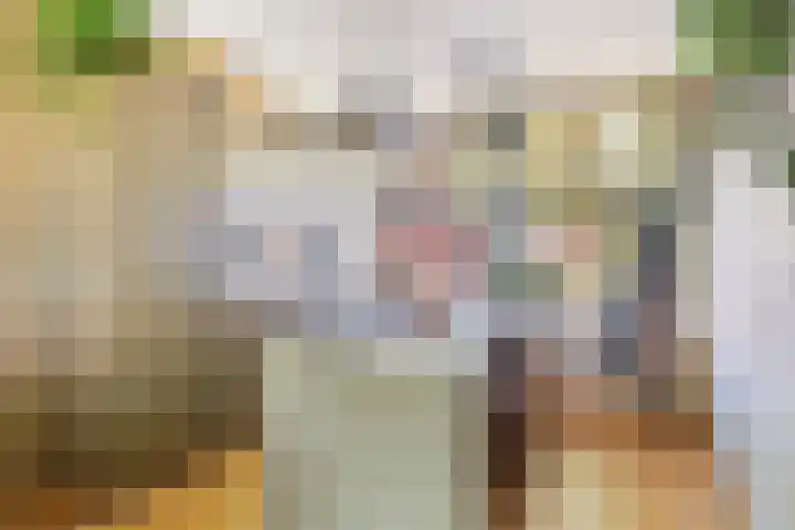 Theodora Jacobalaan 12 Rotterdam thumbnail 18
