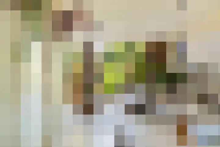 Theodora Jacobalaan 12 Rotterdam thumbnail 23