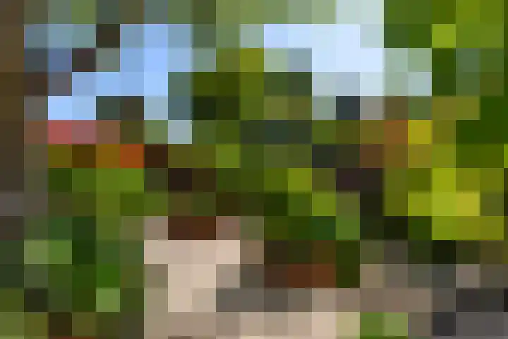 Theodora Jacobalaan 12 Rotterdam thumbnail 26