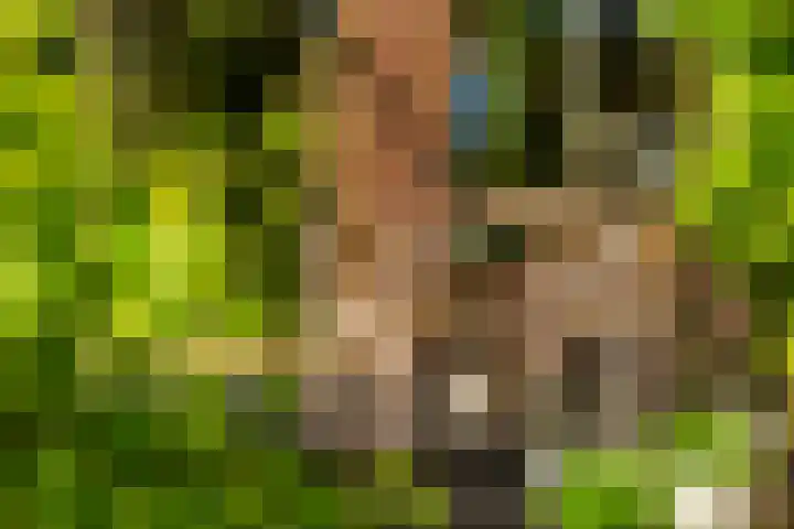Theodora Jacobalaan 12 Rotterdam thumbnail 31