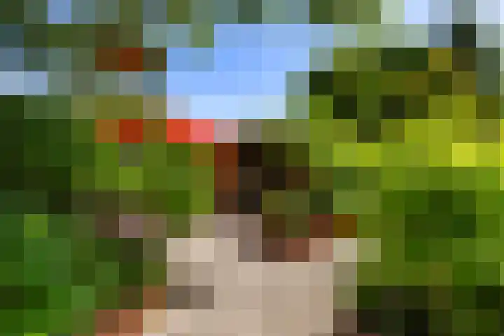 Theodora Jacobalaan 12 Rotterdam thumbnail 4