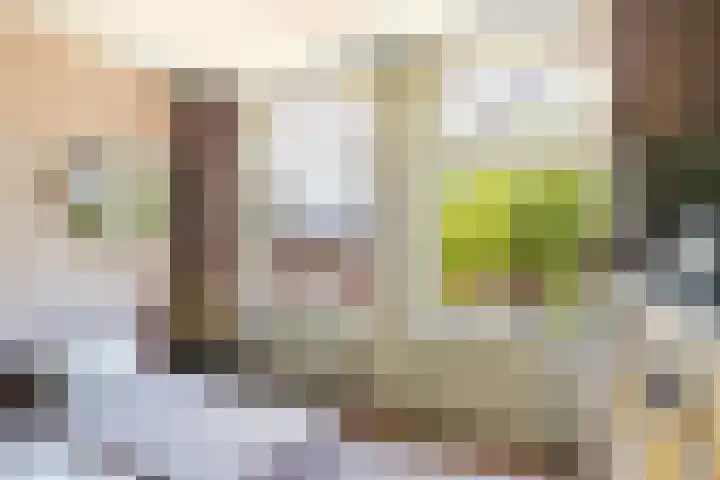 Theodora Jacobalaan 12 Rotterdam thumbnail 44