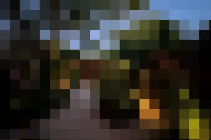 Theodora Jacobalaan 12 Rotterdam thumbnail 5