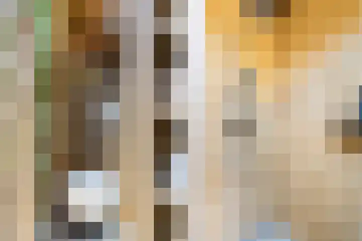 Theodora Jacobalaan 12 Rotterdam thumbnail 50