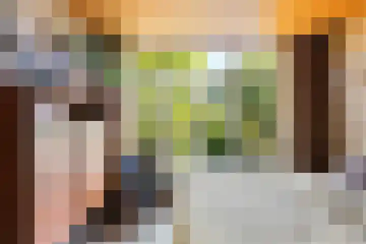 Theodora Jacobalaan 12 Rotterdam thumbnail 51