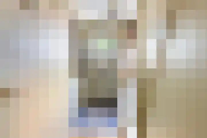 Theodora Jacobalaan 12 Rotterdam thumbnail 6