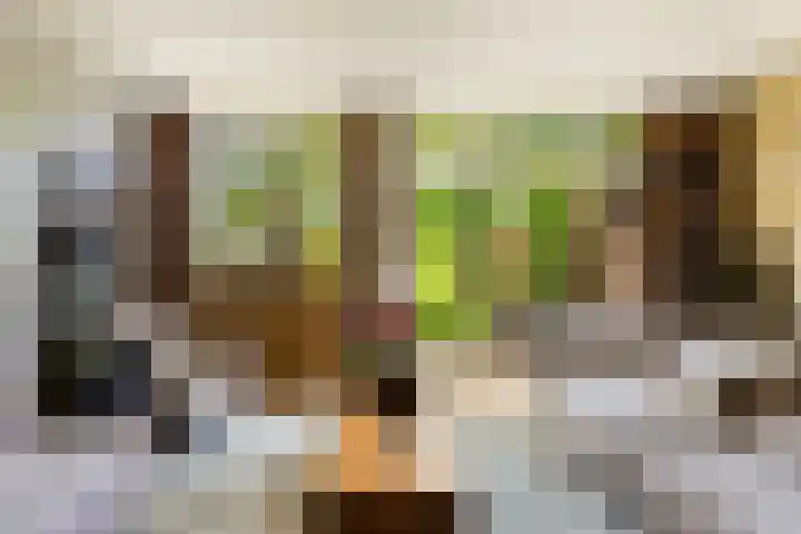 Theodora Jacobalaan 12 Rotterdam thumbnail 7
