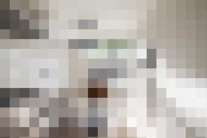 Theodora Jacobalaan 33 A Rotterdam thumbnail 10