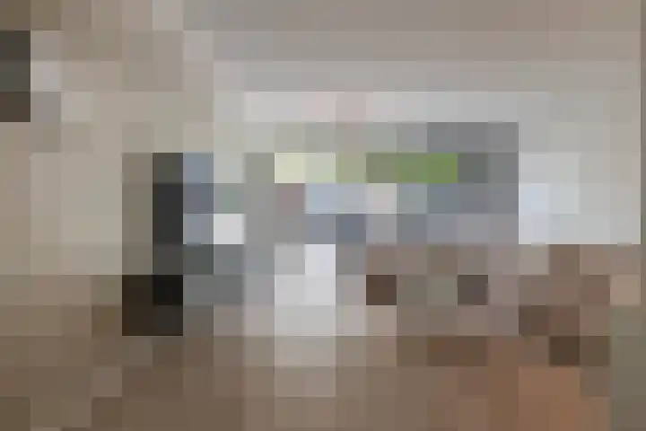 Theodora Jacobalaan 33 A Rotterdam thumbnail 11