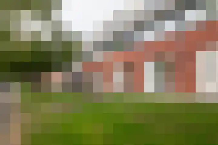 Theodora Jacobalaan 33 A Rotterdam thumbnail 29
