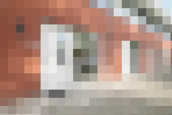 Theodora Jacobalaan 33 A Rotterdam thumbnail 30
