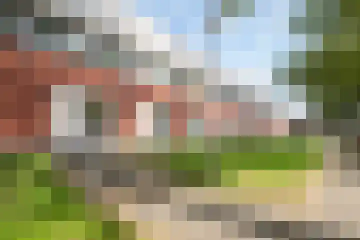 Theodora Jacobalaan 33 A Rotterdam thumbnail 31