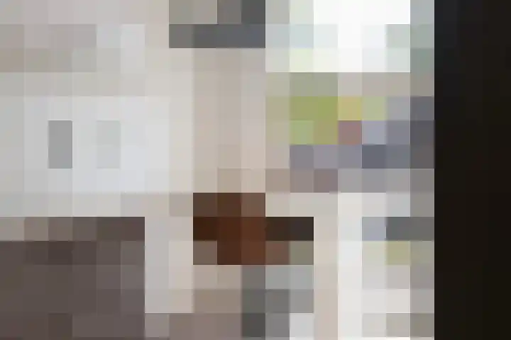 Theodora Jacobalaan 33 A Rotterdam thumbnail 7