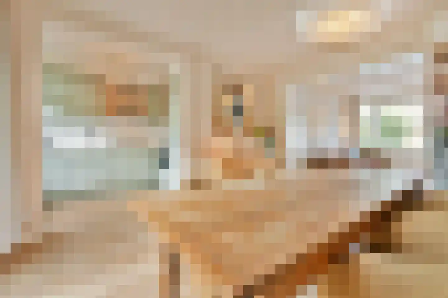 Theodora Jacobalaan 4 Rotterdam thumbnail 15