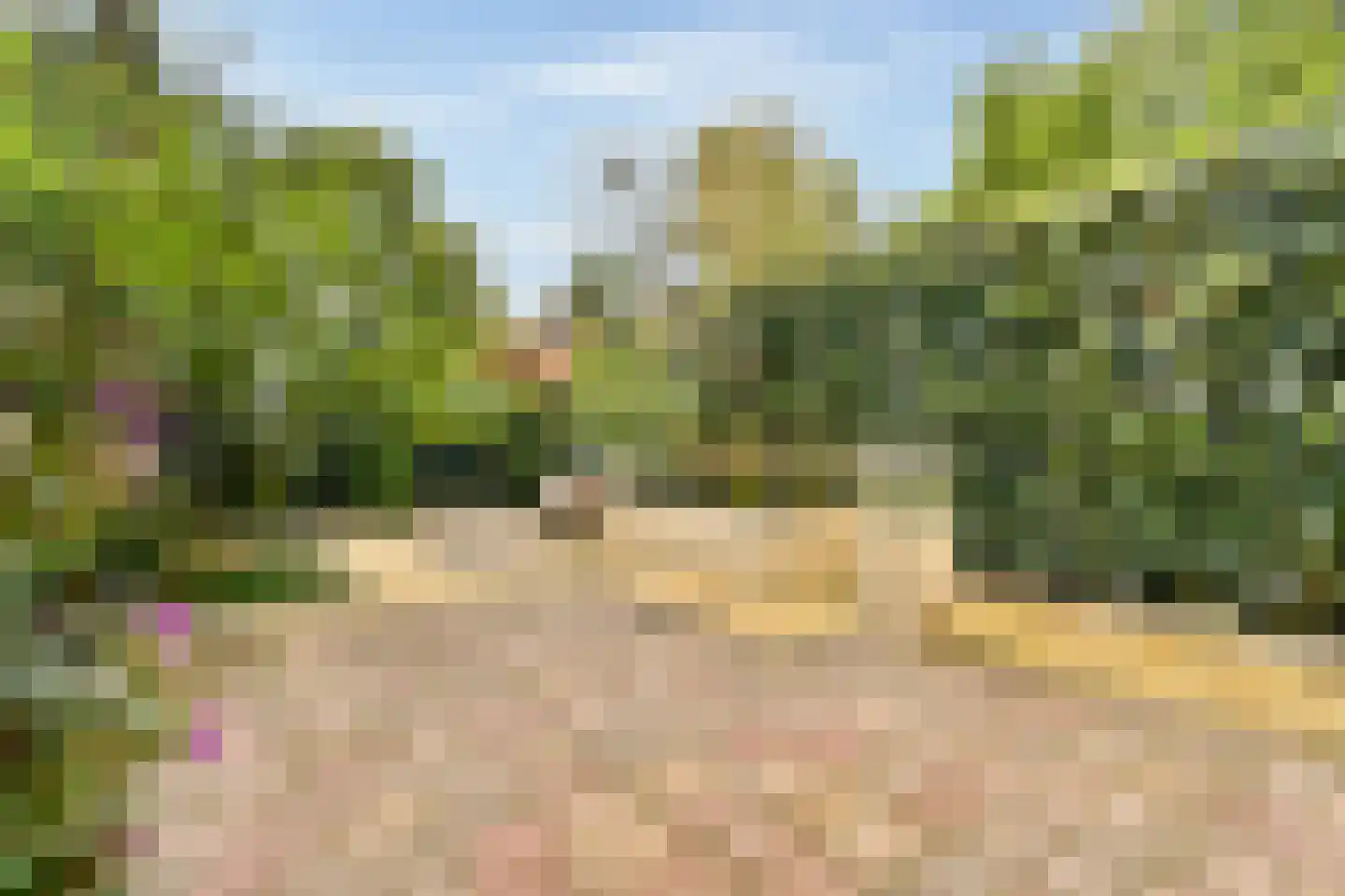 Theodora Jacobalaan 4 Rotterdam thumbnail 21