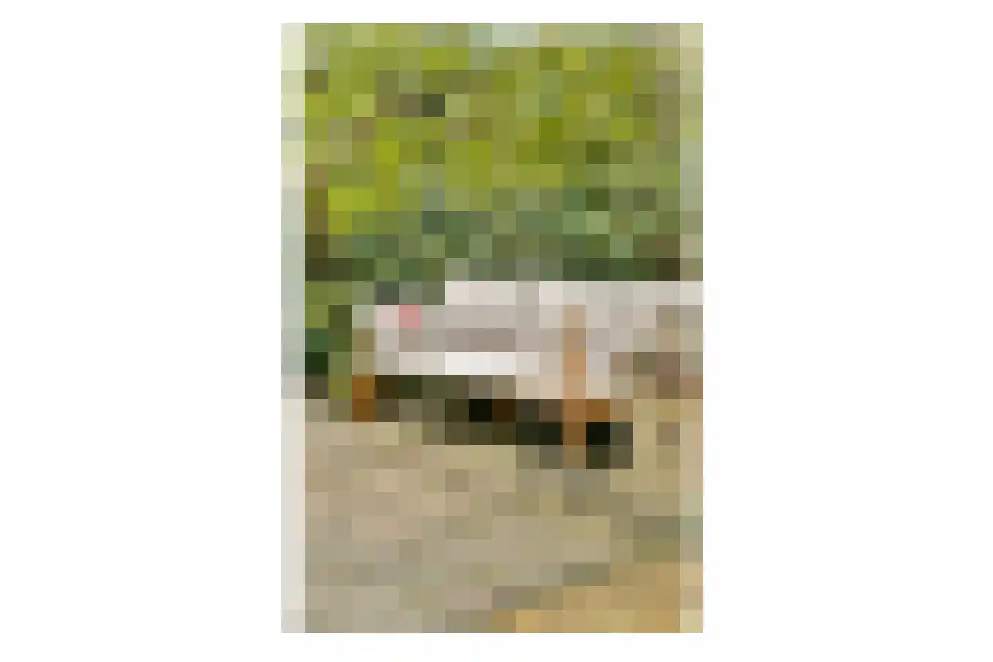 Theodora Jacobalaan 4 Rotterdam thumbnail 23