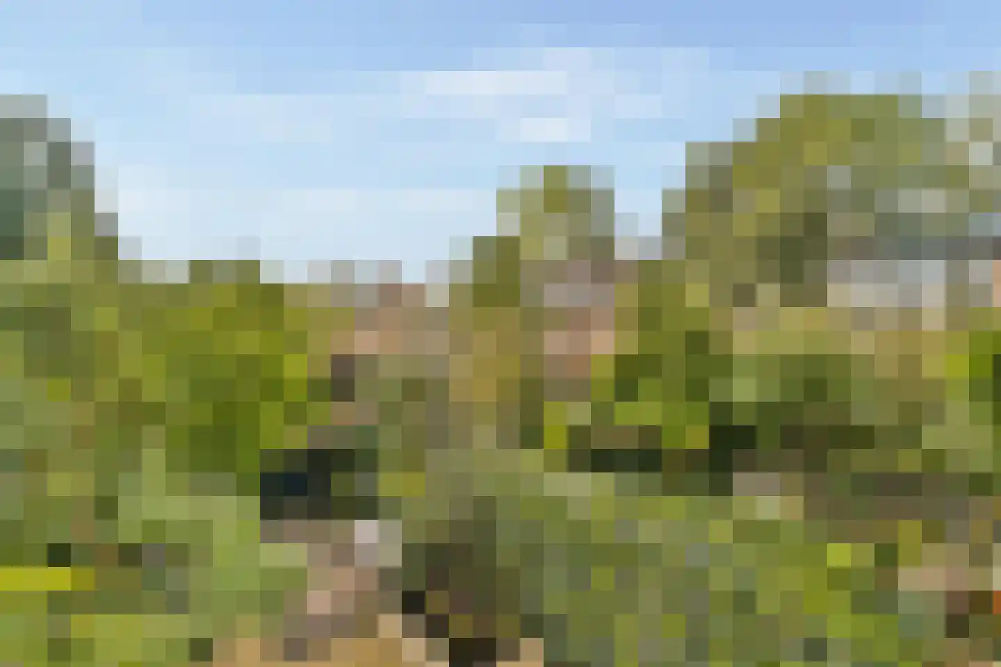 Theodora Jacobalaan 4 Rotterdam thumbnail 31