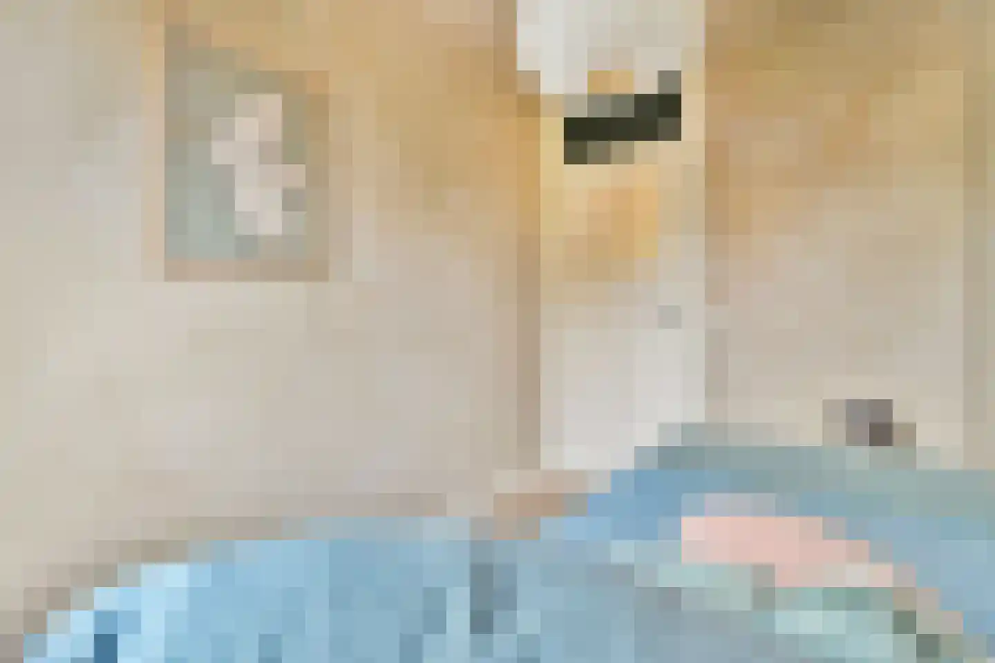 Theodora Jacobalaan 4 Rotterdam thumbnail 35