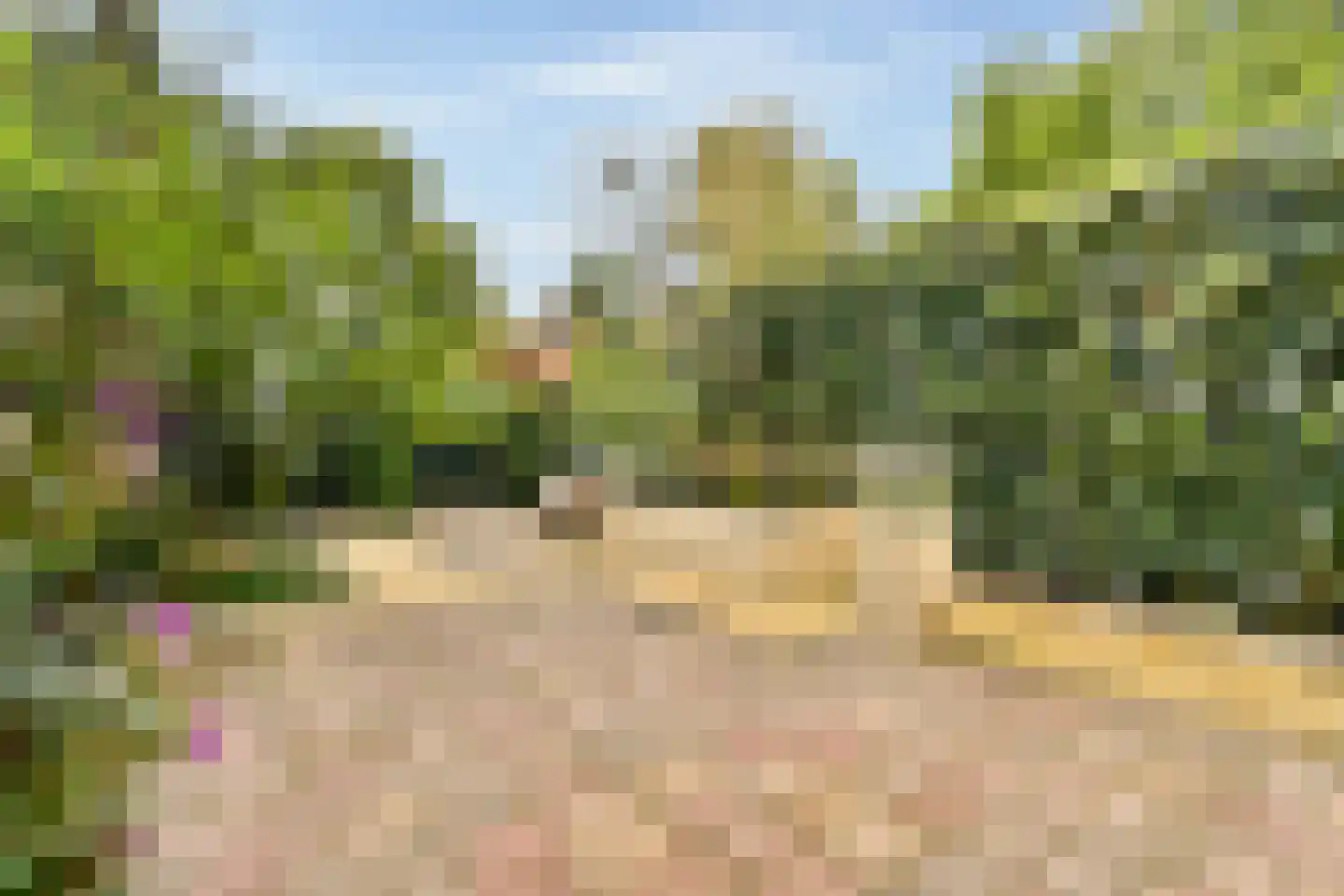 Theodora Jacobalaan 4 Rotterdam thumbnail 4