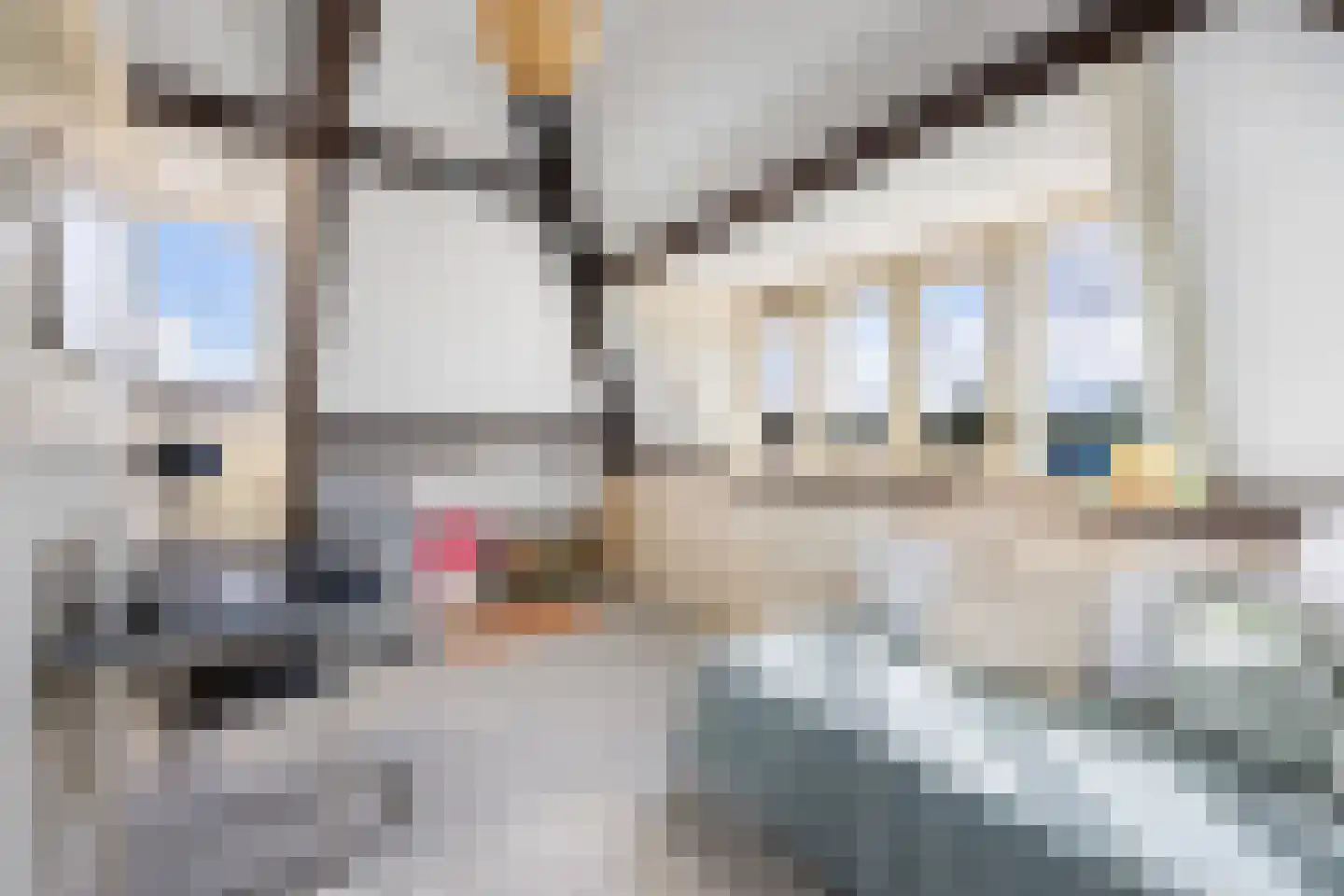 Theodora Jacobalaan 42 Rotterdam thumbnail 29