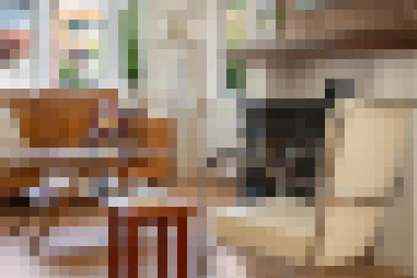 Theodora Jacobalaan 42 Rotterdam thumbnail 7