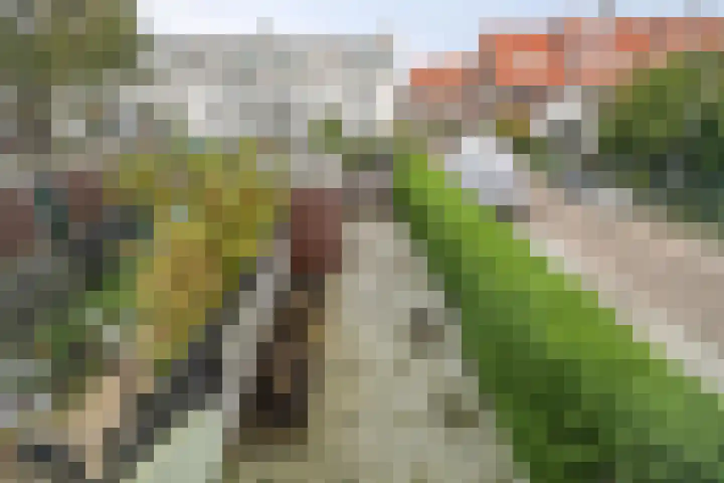 Theodora Jacobalaan 43 A Rotterdam thumbnail 21