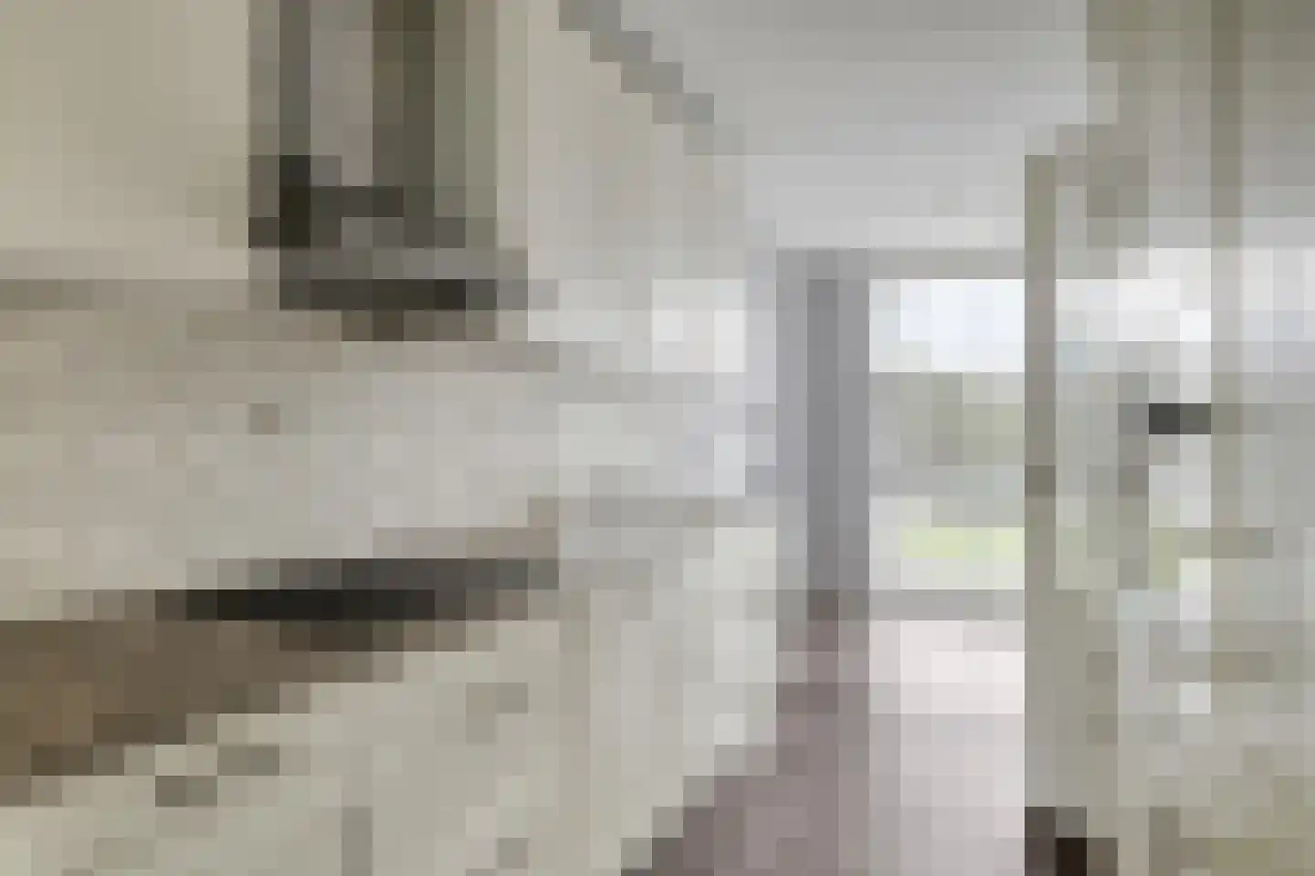 Theodora Jacobalaan 43 A Rotterdam thumbnail 4