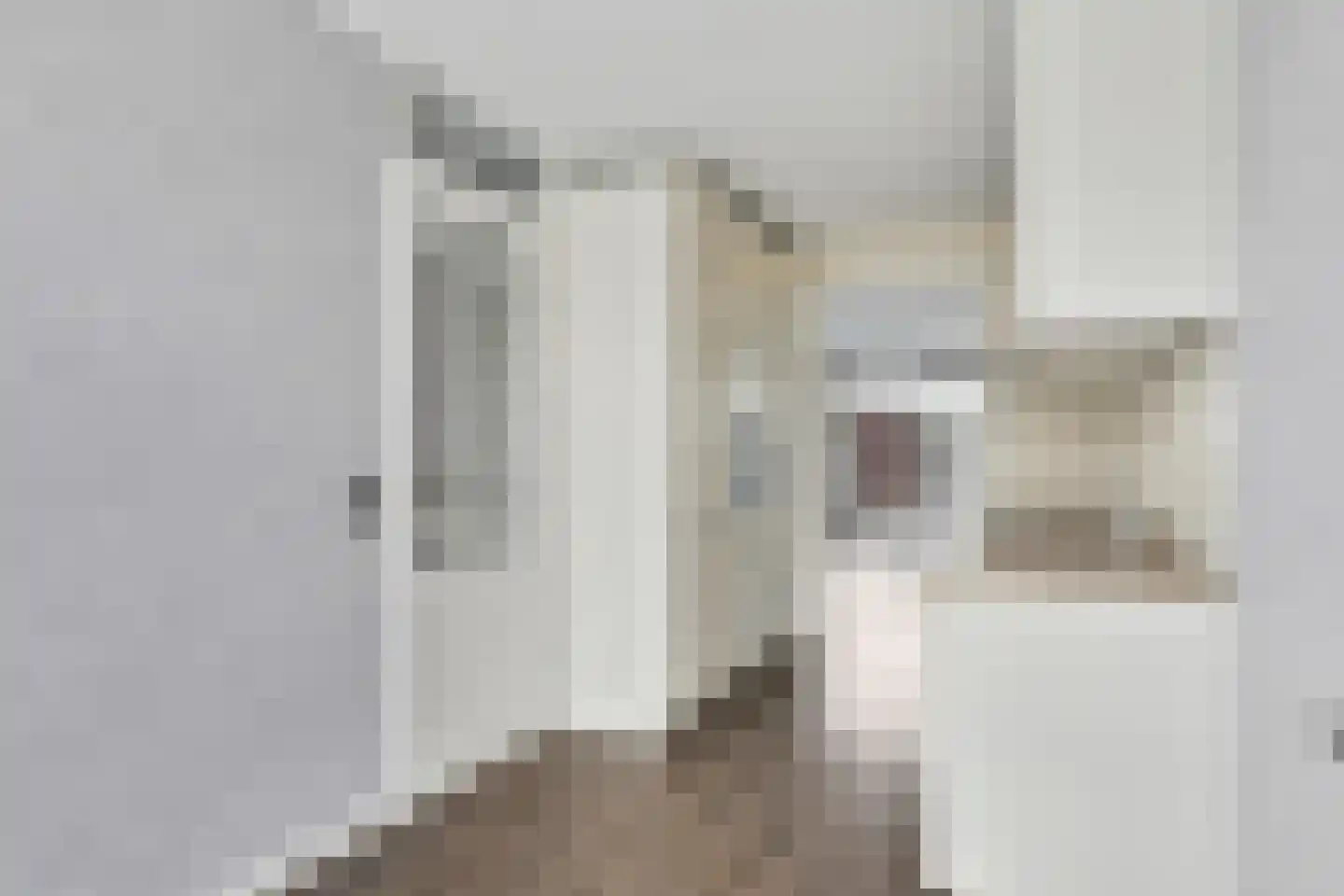 Theodora Jacobalaan 43 A Rotterdam thumbnail 6
