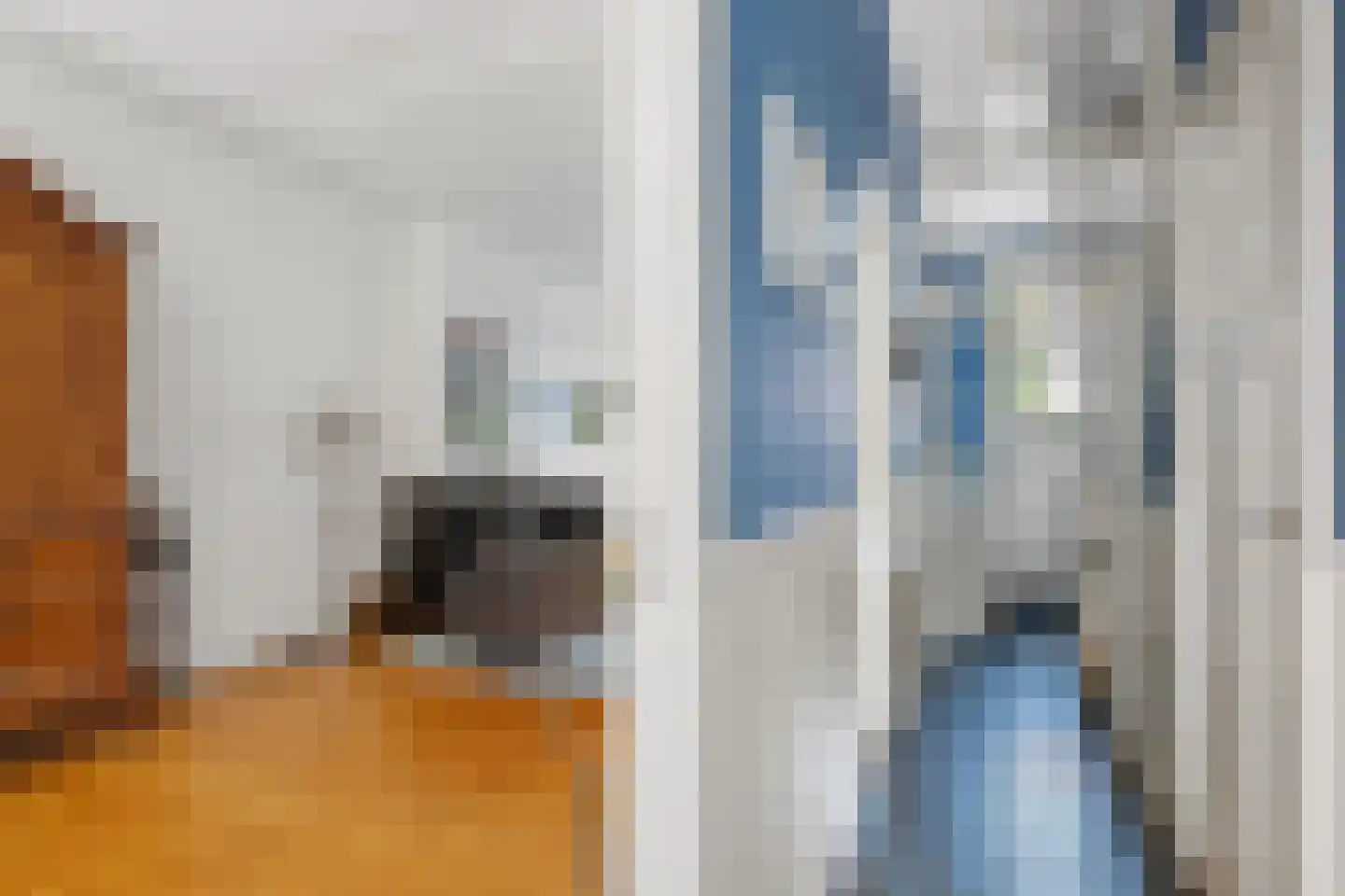 Theodora Jacobalaan 50 Rotterdam thumbnail 24