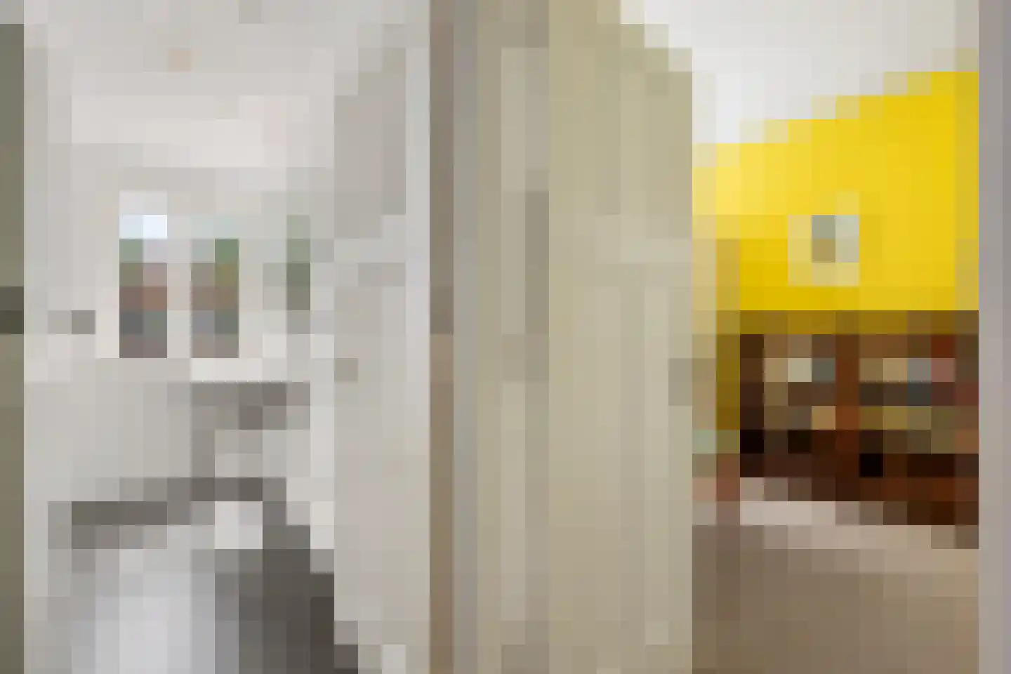 Theodora Jacobalaan 50 Rotterdam thumbnail 38