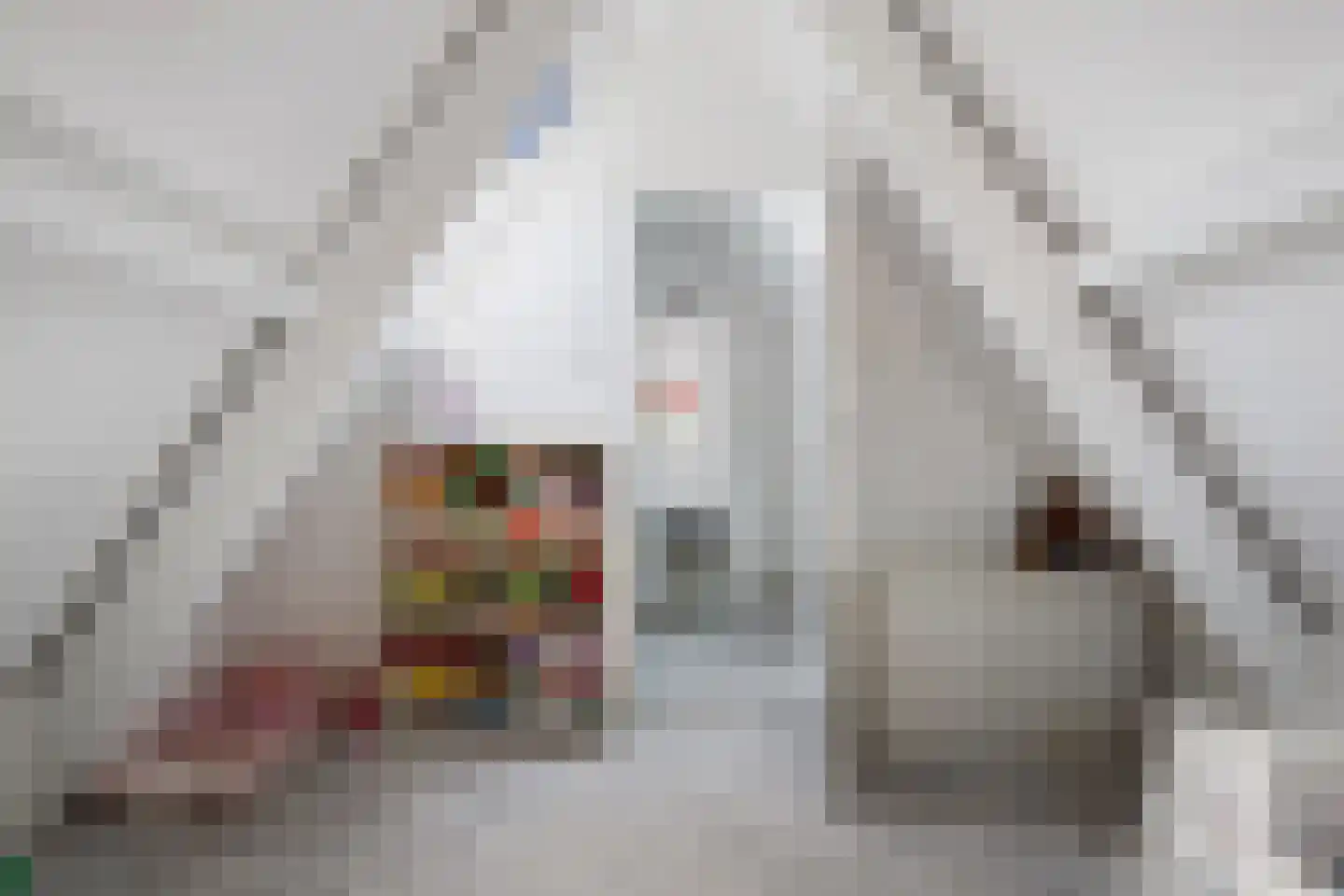Theodora Jacobalaan 50 Rotterdam thumbnail 52